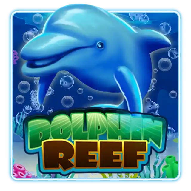 Dolphin Reef