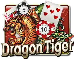 Dragon Tiger Red